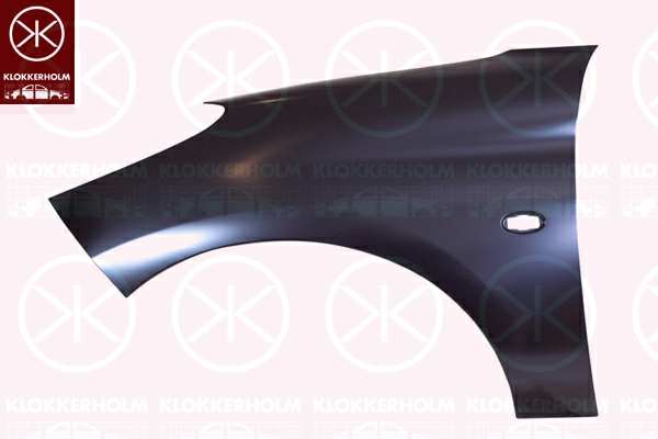 KLOKKERHOLM Einstiegblech 744281 Rechte. vordere
Einbauseite: vorne rechts, mechanisch bearbeitet: mit Loch für Blinkleuchte
