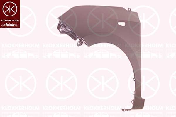 KLOKKERHOLM Einstiegblech 11035435 Einbauseite: vorne rechts, mechanisch bearbeitet: mit Loch für Blinkleuchte