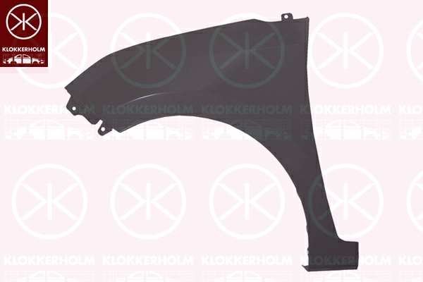 KLOKKERHOLM Einstiegblech 624587 Linke. vordere
Einbauposition: vorne links, mechanisch bearbeitet: ohne Loch für Blinkleuchte, Fahrzeugproduktionsland: Türkei