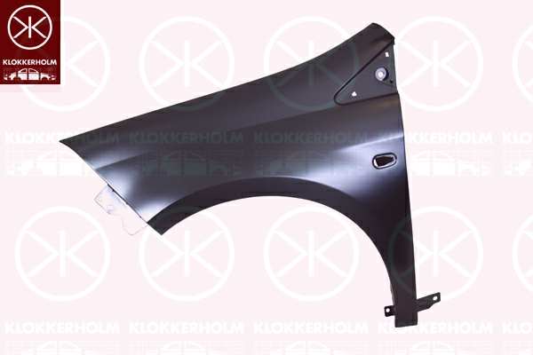 KLOKKERHOLM Einstiegblech 742354 Linke. vordere
Einbauseite: vorne links, mechanisch bearbeitet: mit Loch für Blinkleuchte