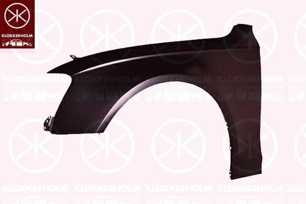 KLOKKERHOLM Einstiegblech 620271 Linke. vordere
Einbauseite: vorne links, Oberfläche: verzinkt