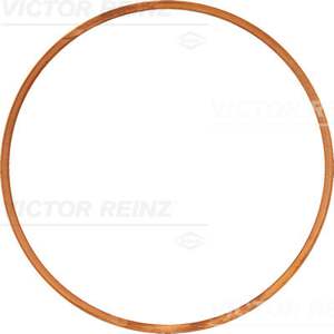 VICTOR REINZ Cyilinder head gasket
