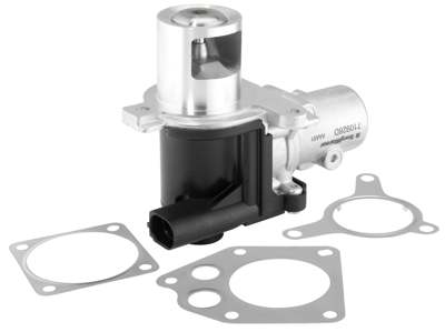 WAHLER EGR valve