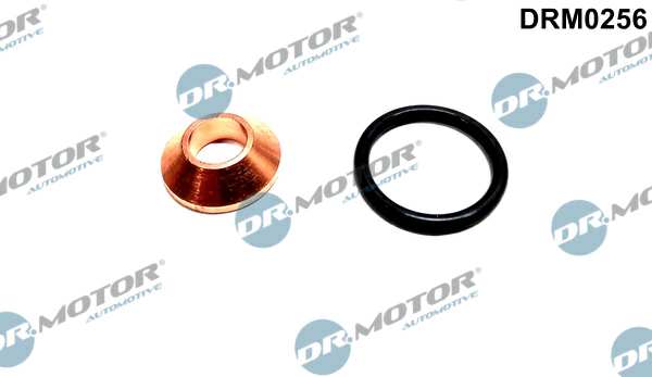 DR.MOTOR AUTOMOTIVE Sealing ring 11141216 2 -piece set