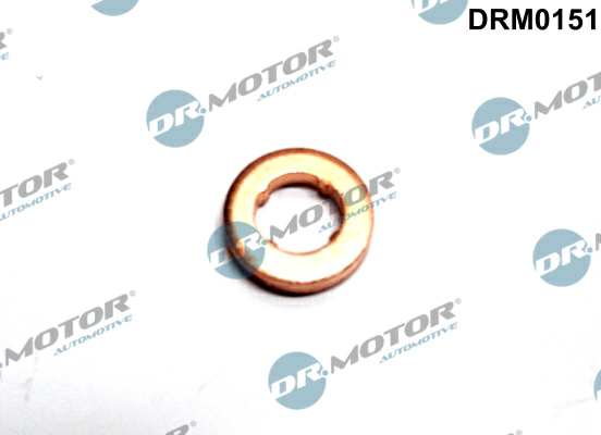 DR.MOTOR AUTOMOTIVE Sealing ring 11141067 1 db