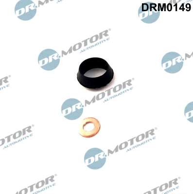 DR.MOTOR AUTOMOTIVE Sealing ring 11141061 2 -piece set