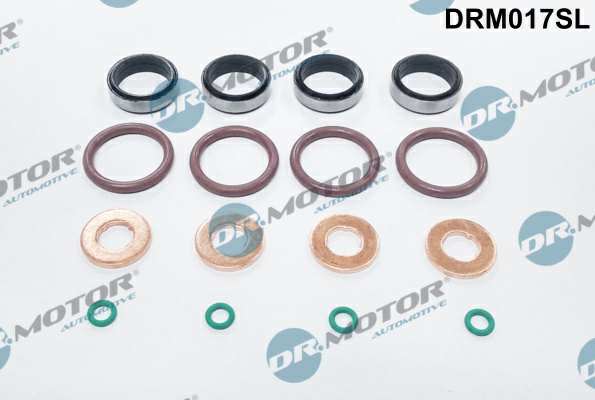 DR.MOTOR AUTOMOTIVE Sealing ring 11141099 Set, for 4 injectors, 16 -piece set