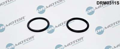 DR.MOTOR AUTOMOTIVE Sealing ring