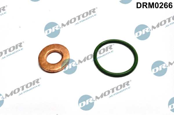 DR.MOTOR AUTOMOTIVE Sealing ring 11141231 Set, for 1 injector, 2 -piece set