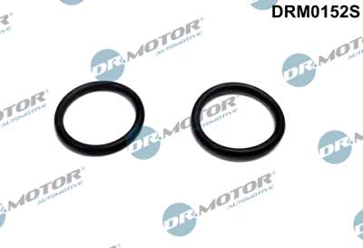 DR.MOTOR AUTOMOTIVE Sealing ring