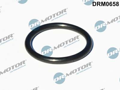 DR.MOTOR AUTOMOTIVE Sealing ring