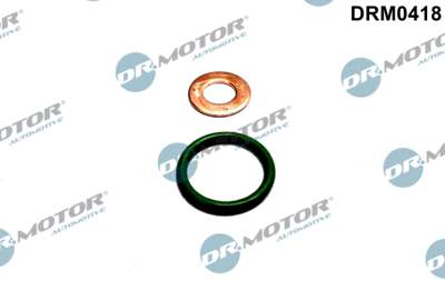 DR.MOTOR AUTOMOTIVE Sealing ring