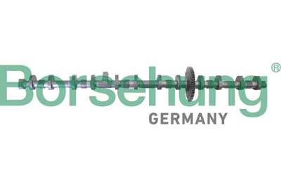 BORSEHUNG Nockenwelle