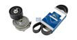 DT SPARE PARTS Keilrippenriemensatz 10021531 Länge [mm]: 1495, Rippenanzahl: 8, Ergänzungsartikel/Ergänzende Info 2: mit Spanndämpfer, Spannrolle 1.
