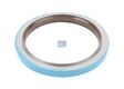 DT SPARE PARTS Wheel hub seal 10030985 Fitting Position: outer, Height [mm]: 17, Inner Diameter [mm]: 125, Outer Diameter [mm]: 160 1.