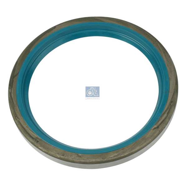 DT SPARE PARTS Wheel hub seal 10054183 Fitting Position: Rear Axle, Height [mm]: 13, Inner Diameter [mm]: 100, Outer Diameter [mm]: 125 1.