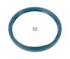 DT SPARE PARTS Wheel hub seal 10095383 Fitting Position: Rear Axle, Height [mm]: 13, Inner Diameter [mm]: 145, Outer Diameter [mm]: 167 1.