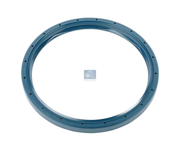 DT SPARE PARTS Wheel hub seal 10095383 Fitting Position: Rear Axle, Height [mm]: 13, Inner Diameter [mm]: 145, Outer Diameter [mm]: 167 1.
