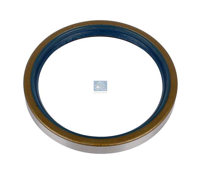 DT SPARE PARTS Wheel hub seal 10095452 Fitting Position: Rear Axle, Height [mm]: 13, Inner Diameter [mm]: 100, Outer Diameter [mm]: 120 1.