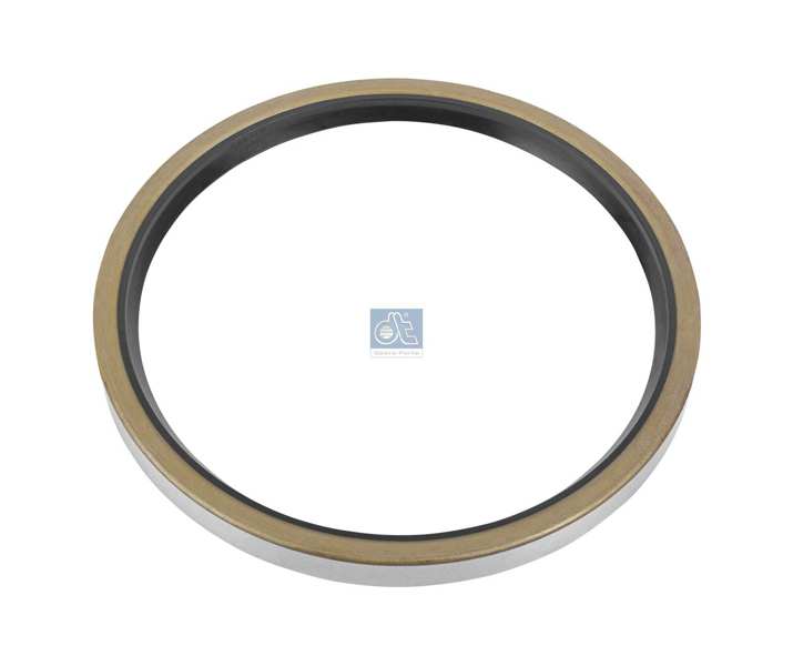 DT SPARE PARTS Wheel hub seal 10095446 Fitting Position: Rear Axle, Height [mm]: 13, Inner Diameter [mm]: 140, Outer Diameter [mm]: 160 1.