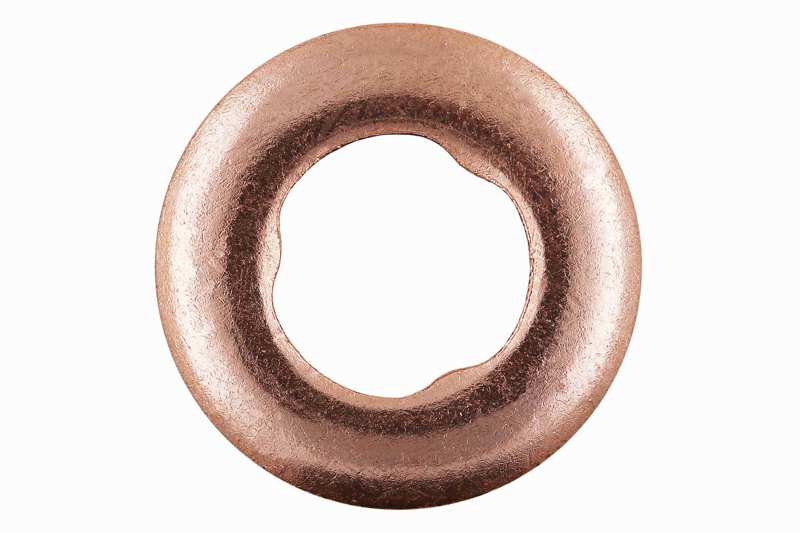 VAICO Sealing ring 10557902 Weight [kg]: 0,007