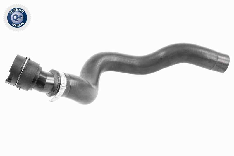 VAICO Kühlwasserschlauch (gebogen) 11059691 Einbauseite: oben 1.