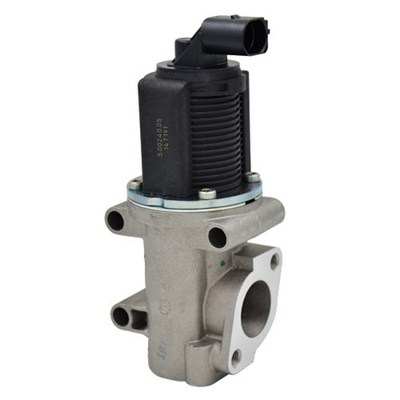 MAGNETI MARELLI EGR valve 11009479 