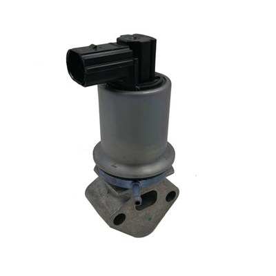 MAGNETI MARELLI EGR valve 11009534 