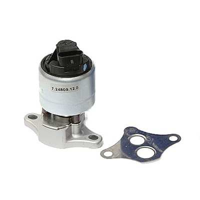MAGNETI MARELLI EGR valve 11009495 