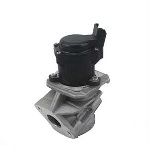 MAGNETI MARELLI EGR valve
