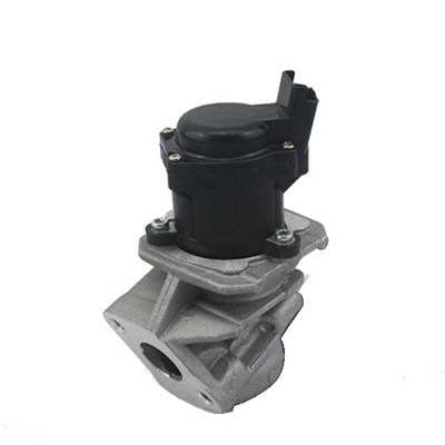MAGNETI MARELLI EGR valve 11009499 