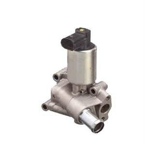 MAGNETI MARELLI EGR valve