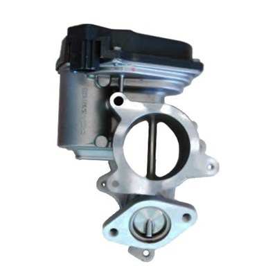 MAGNETI MARELLI EGR valve 11009506 