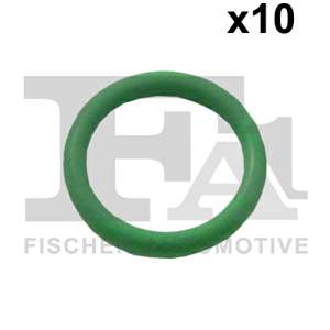 FA1 O-ring