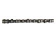 AE Nockenwelle 10766047 Material: Gusseisen 1.