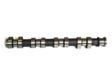 AE Nockenwelle 10766085 Einbauposition: Einlassseite, Material: Gusseisen 1.