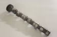 AE Nockenwelle 10766023 Einbauseite: für Zylinder 4-6, Auslassseite, Material: Gusseisen 1.