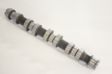 AE Nockenwelle 10766049 Ergänzungsartikel/Ergänzende Info 2: ohne Sensor, Material: Gusseisen 1.