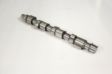 AE Nockenwelle 10765988 Material: Gusseisen 1.