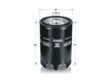 TECNECO FILTERS Ölfilter