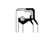 CORTECO Wellendichtring, Kurbelwelle 45mm, 65mm, 9mm, Bidirektional (01029794B)