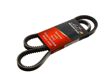 A.Z. MEISTERTEILE FLEXIBELT V-belt 1175mm, 13mm (AZMT-20-034-1179)