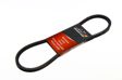 A.Z. MEISTERTEILE FLEXIBELT V-belt 850mm, 13mm (AZMT-20-034-1265)
