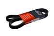 A.Z. MEISTERTEILE FLEXIBELT Micro V multi-ribbed belt One-sided, 1750mm, 6 (AZMT-20-033-1631)