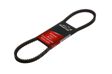 A.Z. MEISTERTEILE FLEXIBELT V-belt 875mm, 13mm (AZMT-20-034-1270)