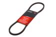 A.Z. MEISTERTEILE FLEXIBELT V-belt 800mm, 10mm (AZMT-20-034-1087)