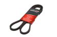 A.Z. MEISTERTEILE FLEXIBELT V-belt 1250mm, 13mm (AZMT-20-034-1185)