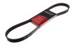 A.Z. MEISTERTEILE FLEXIBELT Micro V multi-ribbed belt One-sided, 976mm, 6 (AZMT-20-033-1473)