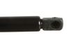 UNIX Gasfeder 21220 Einbauseite: hinten links 3.
