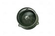 NISSENS Blower motor 12V, 147mm (87160)